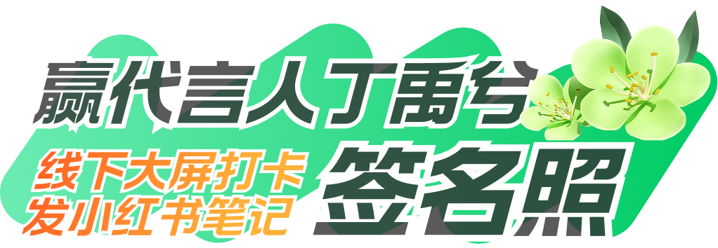 标题预览